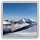 Pollino d'inverno